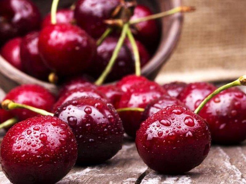 Вишня купить саженцы из питомника в Ивантеевке